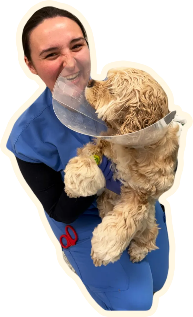 Elle hugging a dog wearing a recovery cone